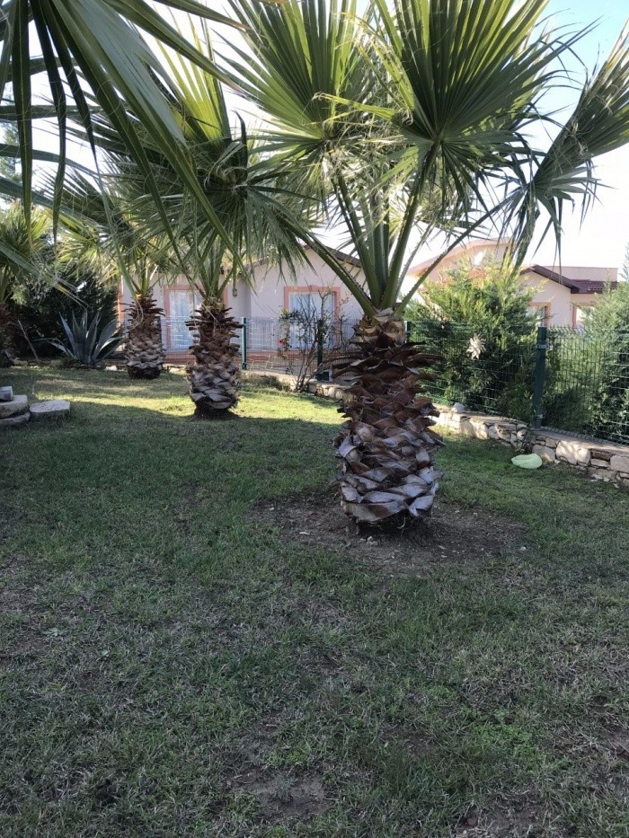 ОТДЕЛЬНАЯ МЕБЛИРОВАННАЯ ВИЛЛА В КУШАДАСЫ.