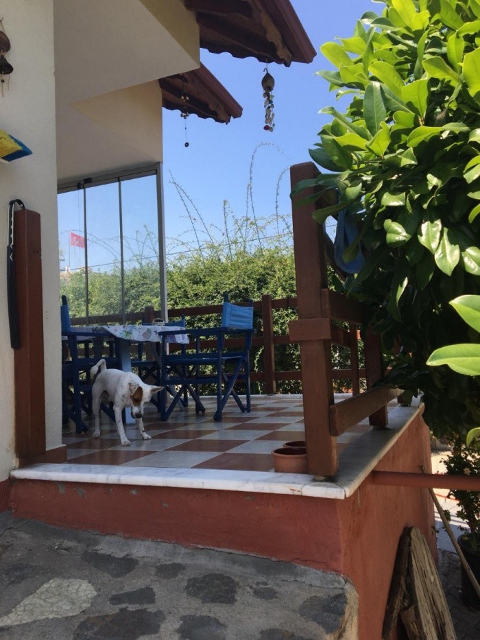 ДОМ С ЧАСТНЫМ САДОВЫМ УЧАСТКОМ ПЛОЩАДЬЮ 2340 М2 В КУШАДАСЫ.