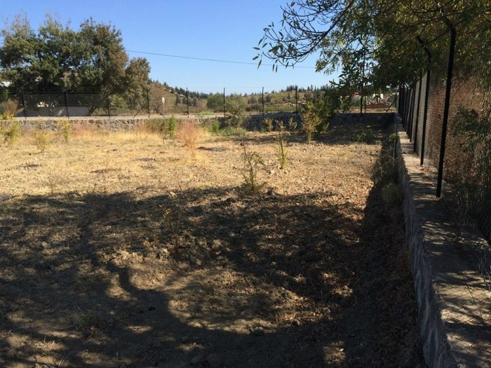 ДОМ С ЧАСТНЫМ САДОВЫМ УЧАСТКОМ ПЛОЩАДЬЮ 2340 М2 В КУШАДАСЫ.