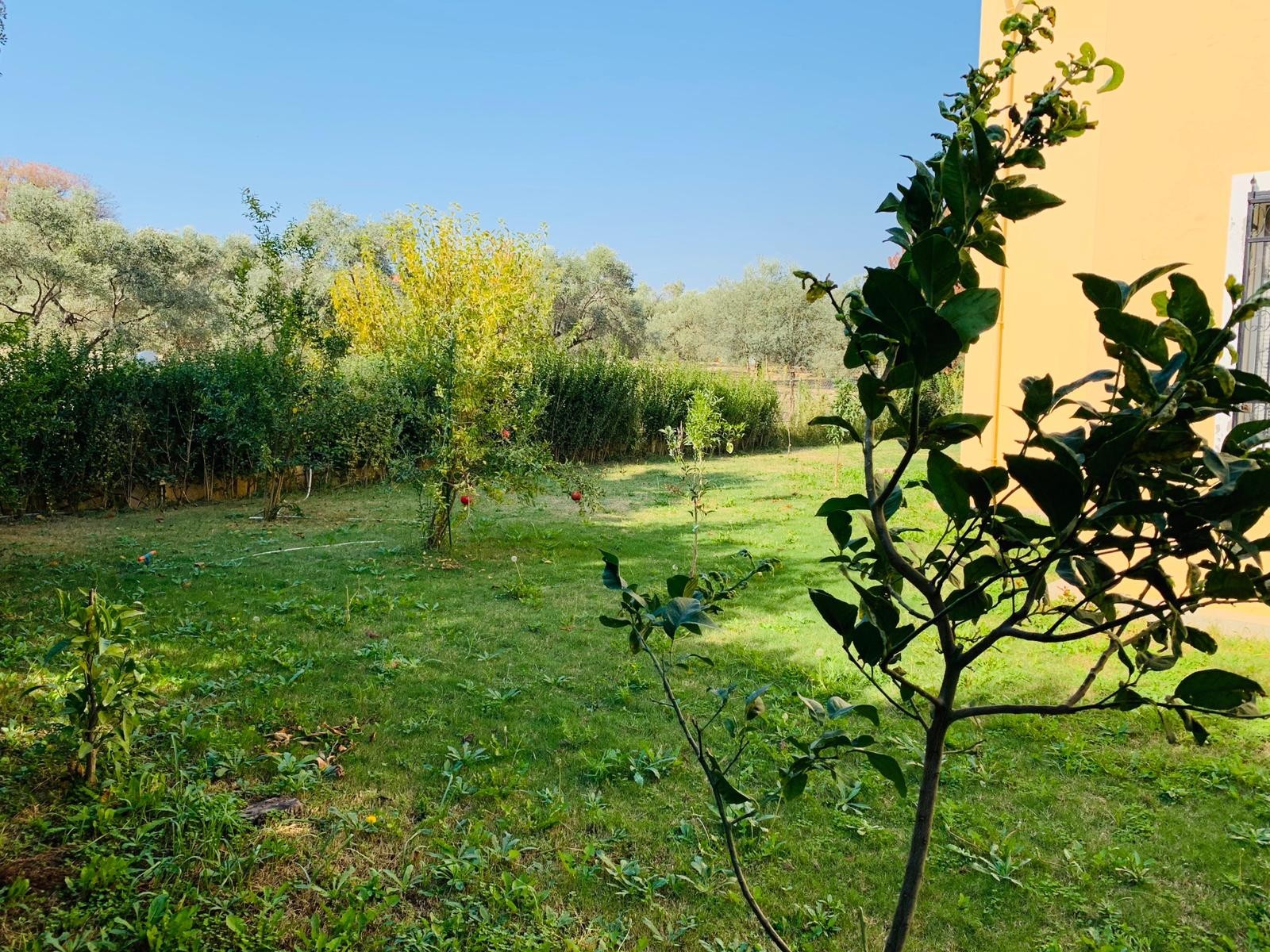 Detached Villa with Pool and 1000sqm Private Garden in Kusadasi