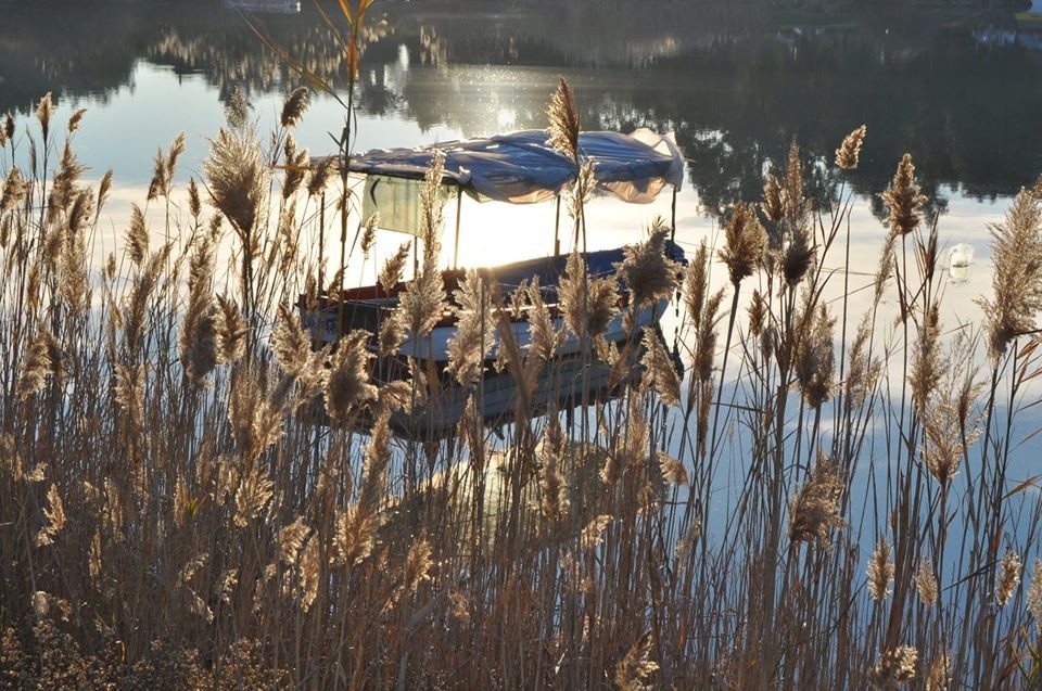 ОТДЕЛЬНАЯ ВИЛЛА С ЧАСТНЫМ БАССЕЙНОМ В КУШАДАСЫ.