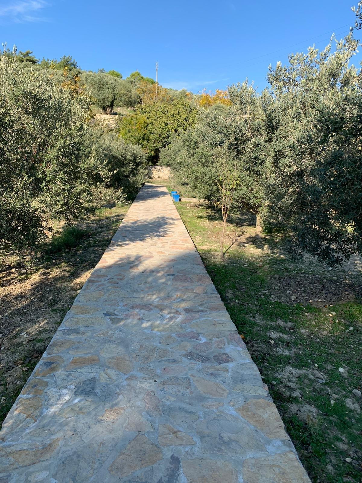 LUXURY FARM HOUSE ON PRIVATE LAND