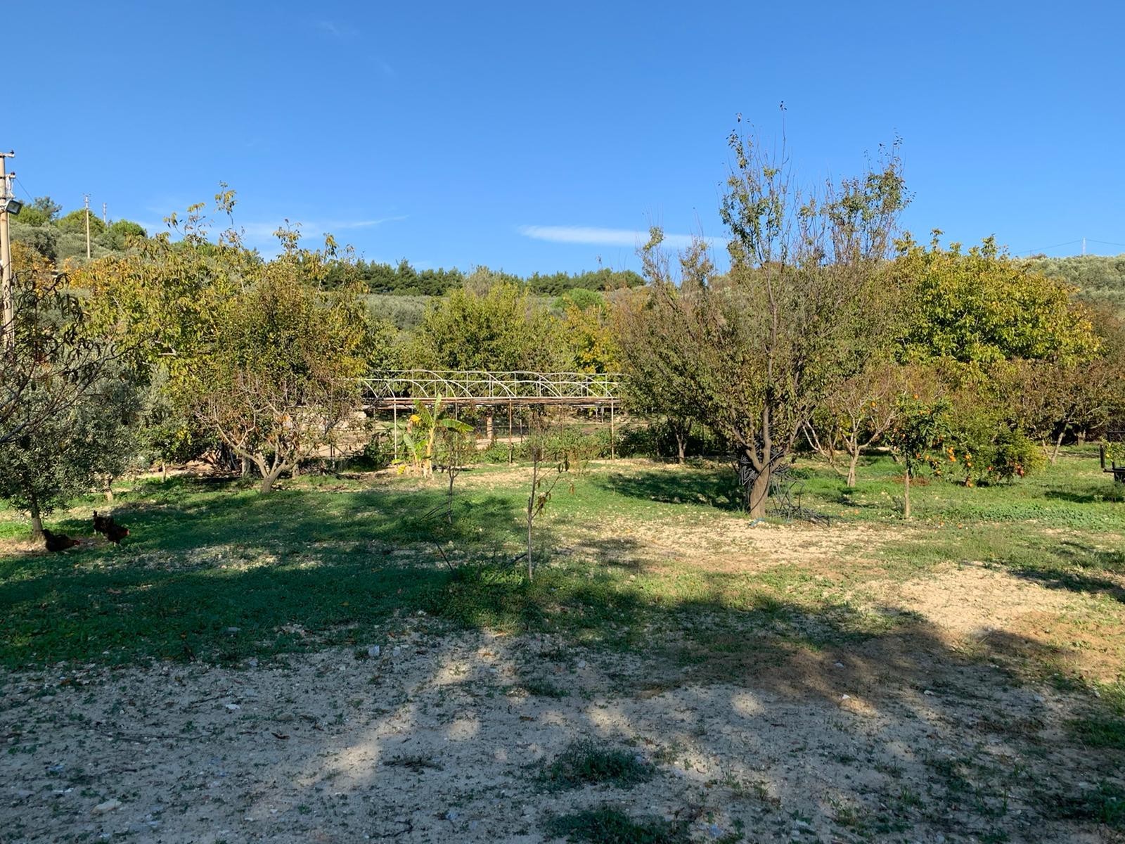 LUXURY FARM HOUSE ON PRIVATE LAND