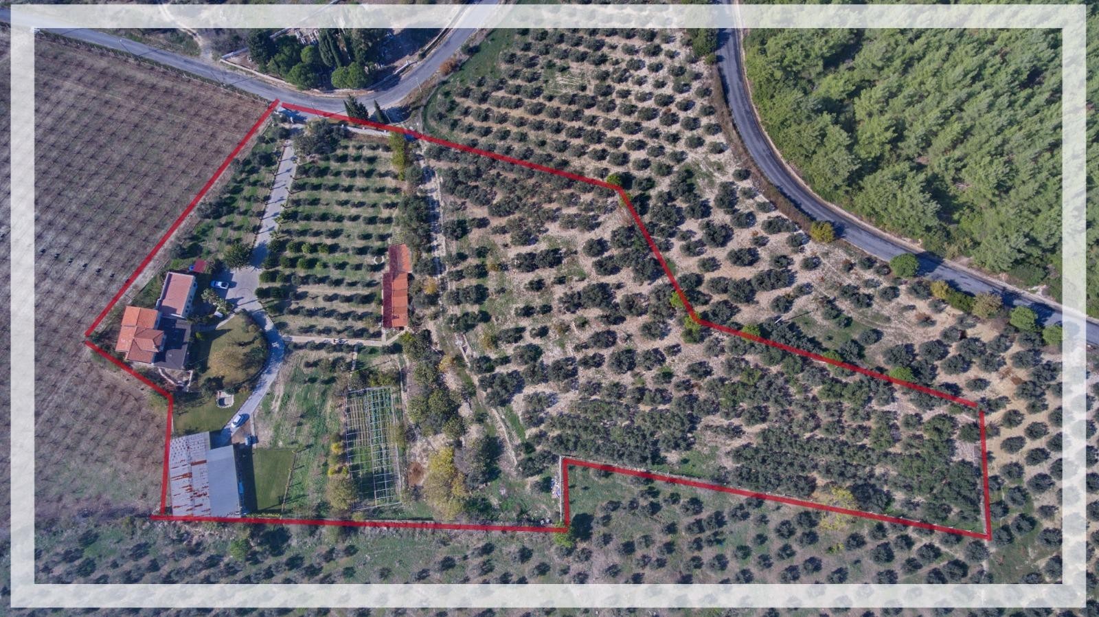 LUXURY FARM HOUSE ON PRIVATE LAND