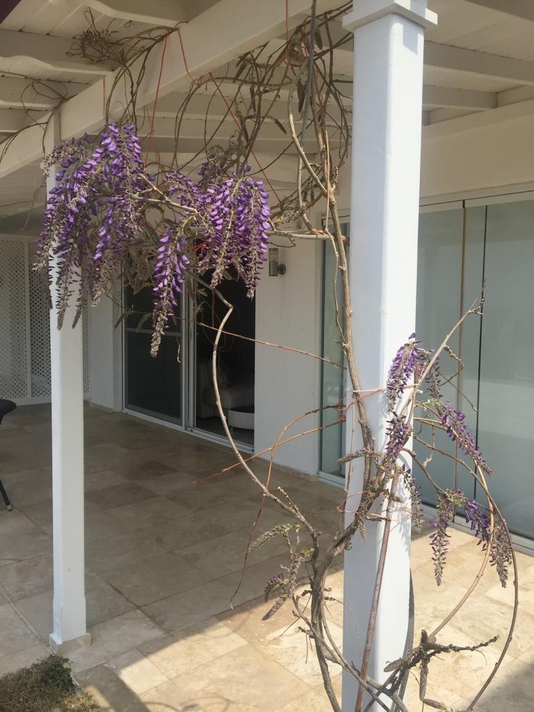 ВИЛЛА С ВИДОМ НА МОРЕ НА ПЕРВОЙ БЕРЕГОВОЙ ЛИНИИ В КУШАДАСЫ.