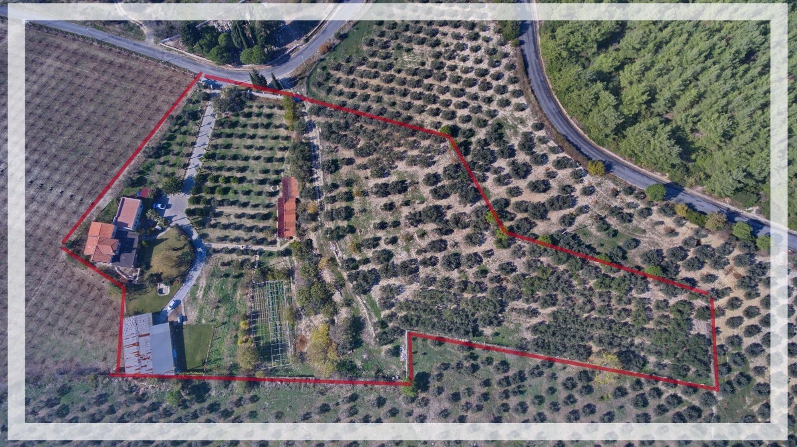 LUXURY FARM HOUSE ON PRIVATE LAND