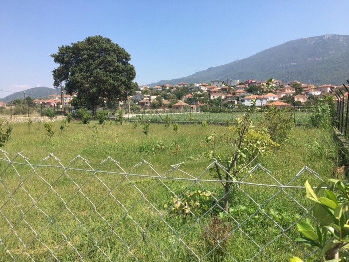 ДОМ С ЧАСТНЫМ САДОВЫМ УЧАСТКОМ ПЛОЩАДЬЮ 2340 М2 В КУШАДАСЫ.