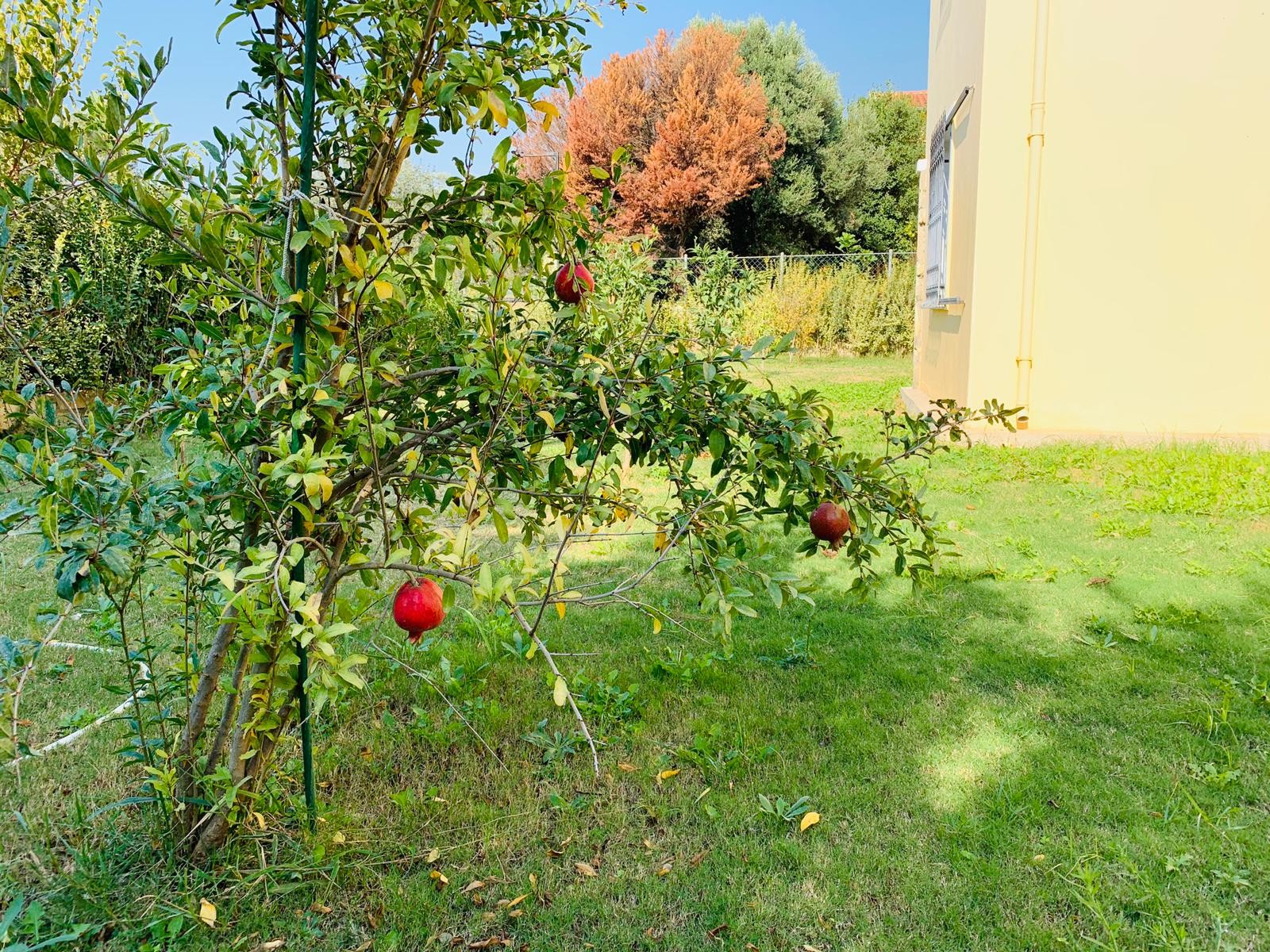 Detached Villa with Pool and 1000sqm Private Garden in Kusadasi