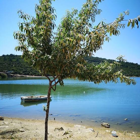 ОТДЕЛЬНАЯ ВИЛЛА С ЧАСТНЫМ БАССЕЙНОМ В КУШАДАСЫ.