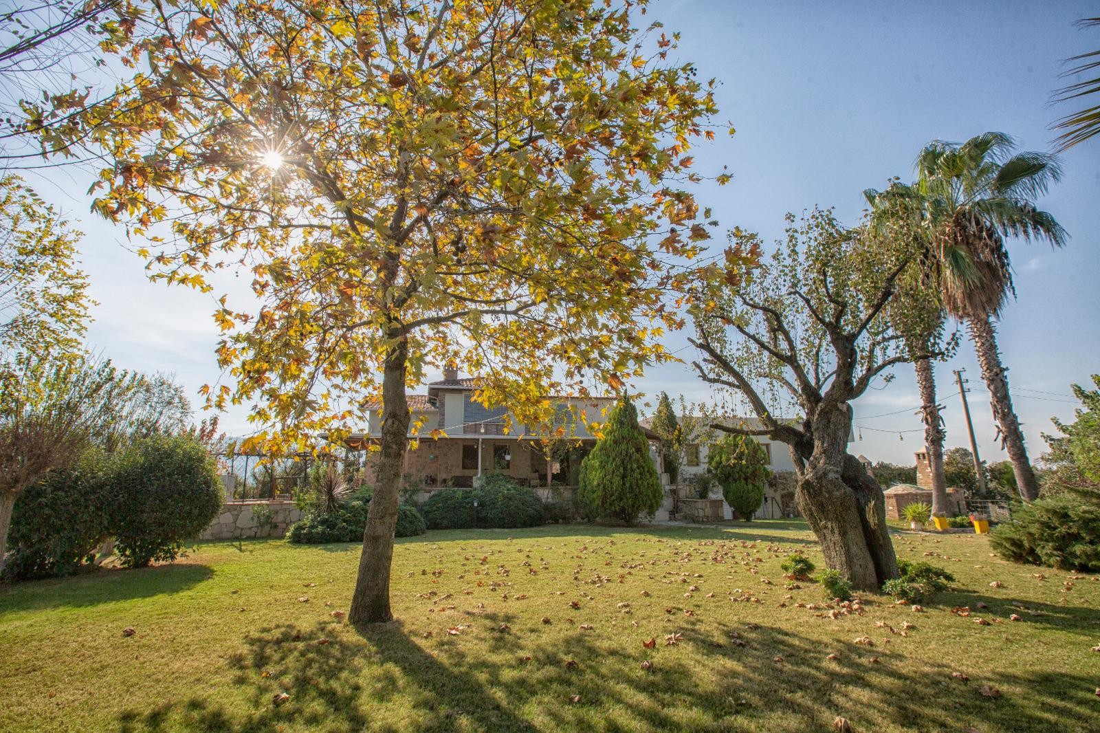 LUXURY FARM HOUSE ON PRIVATE LAND