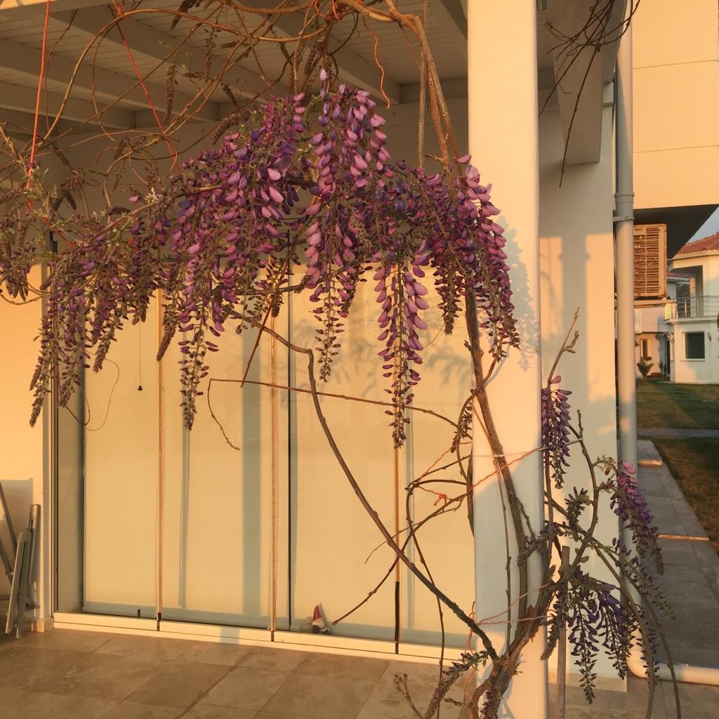 ВИЛЛА С ВИДОМ НА МОРЕ НА ПЕРВОЙ БЕРЕГОВОЙ ЛИНИИ В КУШАДАСЫ.